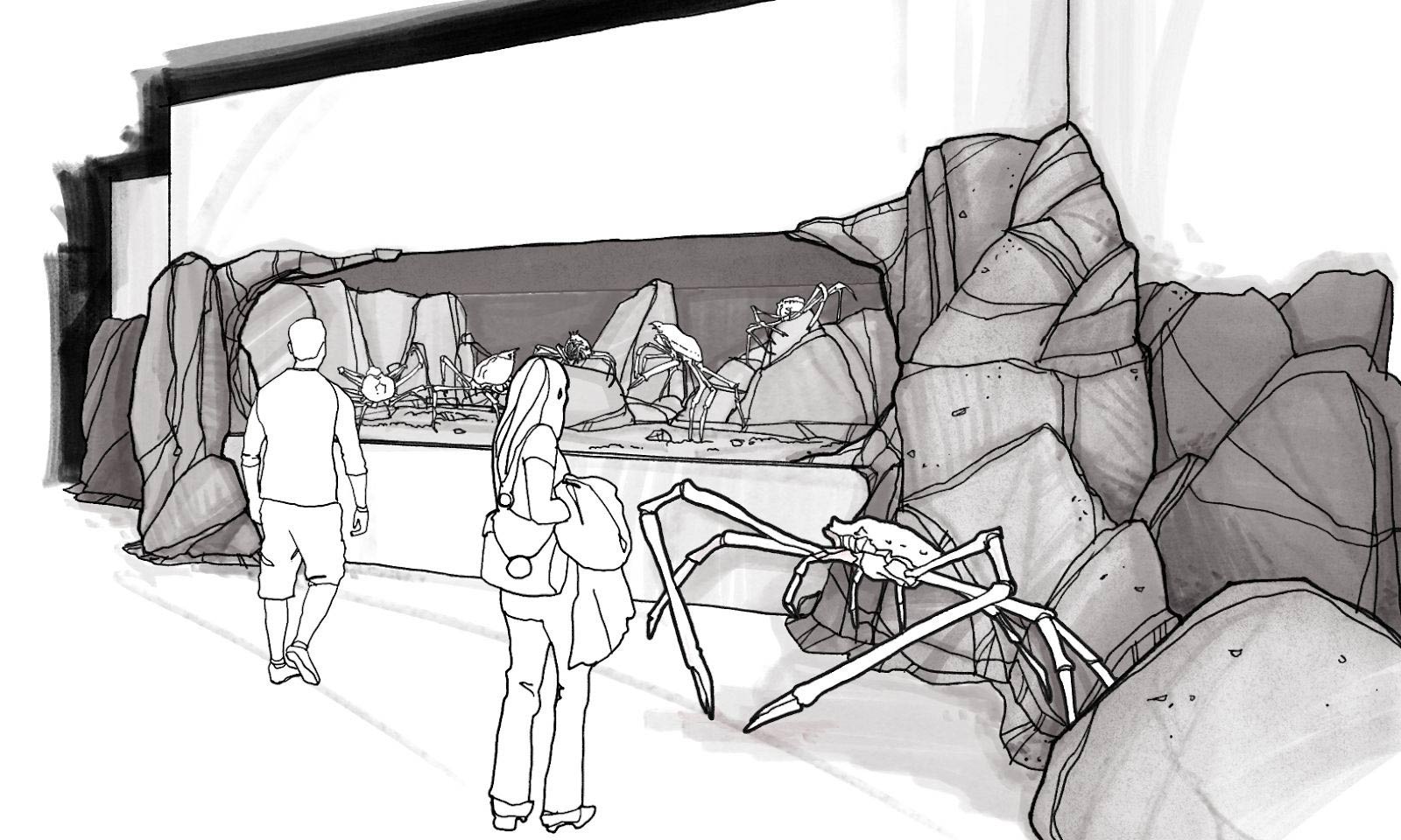 Deep sea exhibit concept sketch